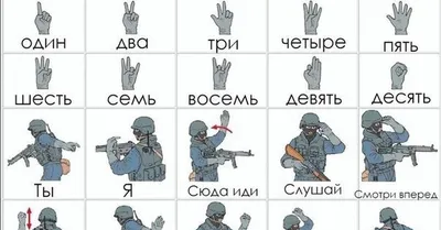 Язык жестов спецназа