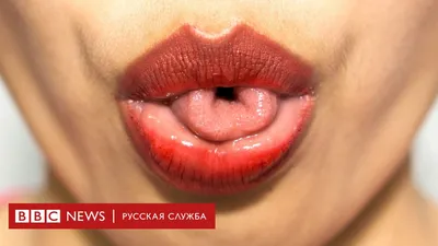 картинка с высунутым языком, язык, вне фон картинки и Фото для бесплатной  загрузки