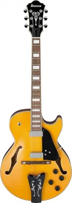 IBANEZ V50NJP VINTAGE SUNBURST набор: акустическая гитара, цвет санберст,  тюнер, чехол. NEOPIX.RU - интернет-магазин