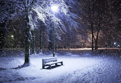 Две ночи в Тверской области будет идти снег | ТОП Тверь новости