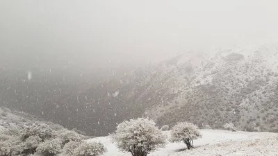Зима не отступает: в Добровском районе идёт снег | ЗНАМЯ ОКТЯБРЯ -  Новостной сайт Добровского района