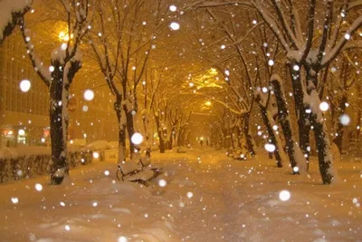 В Кузбасс идёт снег | ОБЩЕСТВО | АиФ Кузбасс