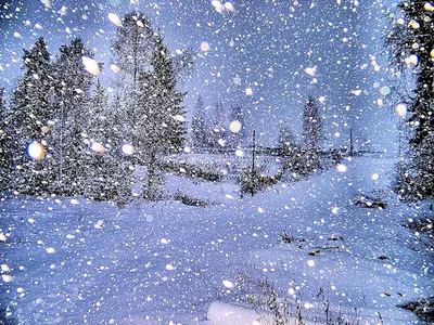 Когда идет снег, мы снова чувствуем себя детьми – юг Молдовы укрыло белой  пеленой