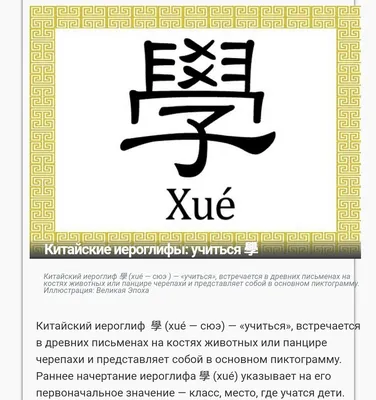 Иероглифы – подлинное сокровище Китая. Почему китайцы говорят не \"читаю\"  книгу, а \"просматриваю\", Новости Узбекистана