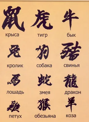 Значение китайских иероглифов на русском тату | Интересные факты и история  иероглифов - fotovam.ru