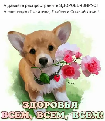 С Днем Рождения kigor Игорь Винница !!! - Форум ассоциации караванеров  Украины CARAVAN TEAM UA