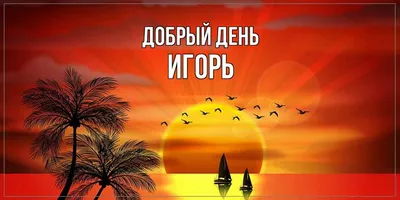 Никитин, Игорь Валерьевич - ПЕРСОНА ТАСС