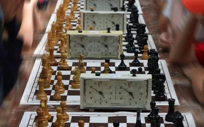Как играть в шахматы (для начинающих): 15 шагов | Jugadas de ajedrez,  Piezas de ajedrez, Tableros de ajedrez