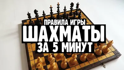 Play Chess Online for Free: Master Chess HTML5 Game Against Computer or  Friend