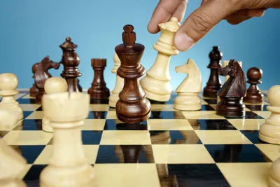Почему стоит обязательно научить ребенка шахматам - Телеканал «О!»