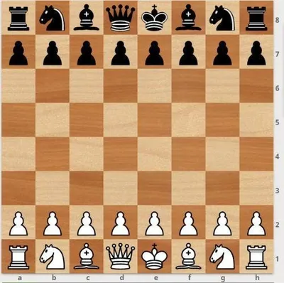 Миф или польза: зачем на самом деле нужны шахматы — О жизни