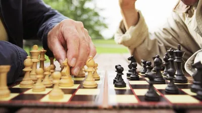 Как начать играть в шахматы на Chess.com. Гид по шахматам для новичков -  Афиша Daily