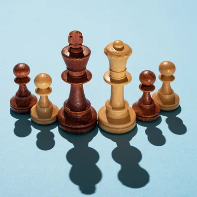 Купить Шахматы для одного - настольная игра-головоломка (обзор, отзывы,  цена) - Игровед