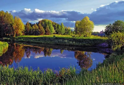 летний вечерний пейзаж на Уральской реке с соснами на берегу, Россия, июнь  Stock Photo | Adobe Stock