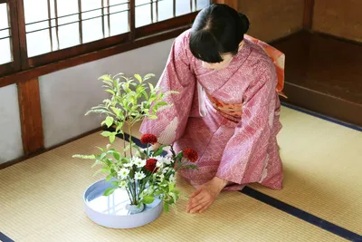 Икэбана – японское искусство составления цветочных композиций | Nippon.com