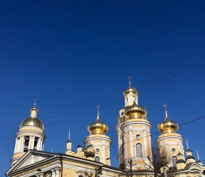 Купить Владимирскую икону Божьей Матери на холсте