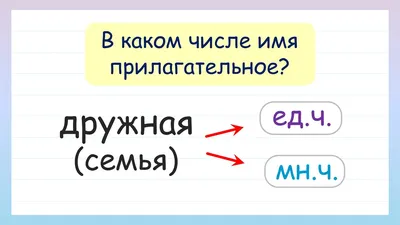 Русский язык. Имя прилагательное. 5-9 классы. Рабочая тетрадь 3 (для  обучающихся с интеллектуальными нарушениями) купить на сайте группы  компаний «Просвещение»