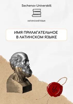 Рабочий лист \"Имя прилагательное. Значение и употребление имён  прилагательных\"