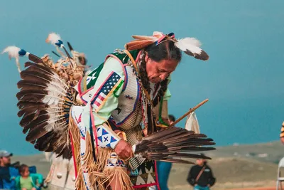 Жизни индейцев важны | Пикабу