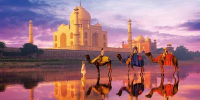 Индия :: Туры из Ростова-на-Дону: Розовый Слон, сеть турагентств, путевки,  отдых