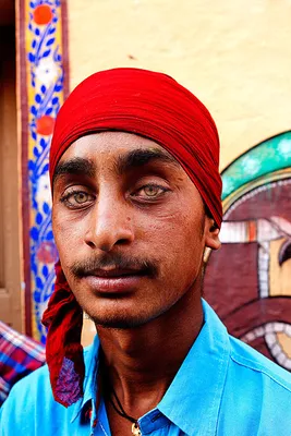 Уровень сумасшествия зашкаливает: Как индусы борются с недугами | Жизнь в  Блоге | Дзен