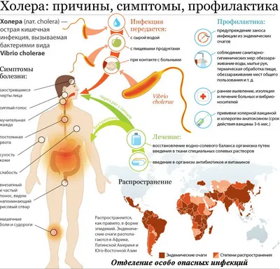 Инфекционные заболевания: статистика по заражениям и смертности