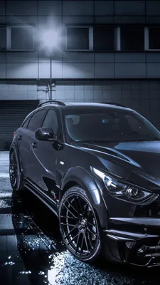 Купить FXSP Спойлер на багажник от Renegade для Infiniti QX70 / FX S51 в  наличии