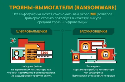 Инфографика - BusinessViews