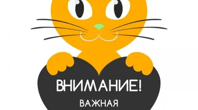 Внимание! Важная информация! | Новости | Оптимальные технологии связи