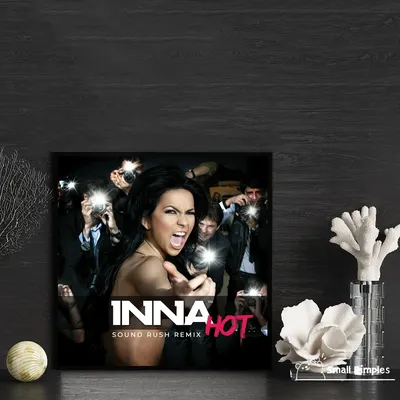 Inna Hot 3 Album Cover T-Shirt Black – ALBUM COVER T-SHIRTS