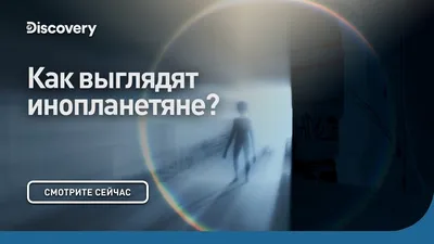 Исследователи предположили, почему инопланетяне не посещали Землю —  13.05.2022 — В мире на РЕН ТВ