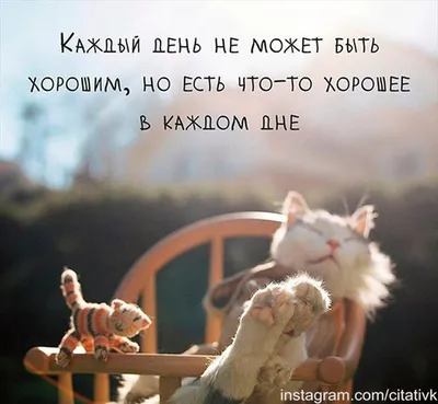 814 отметок «Нравится», 0 комментариев — Статусы со смыслом фразы мысли  (@citativk) в Instagram | Мудрые цитаты, Правдивые цитаты, Лучшие цитаты