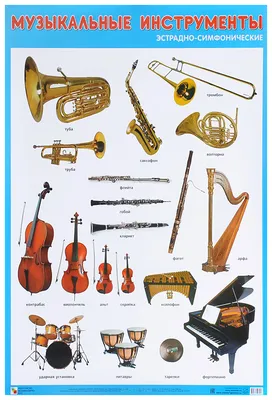 Плакат Музыкальные Инструменты Эстрадно-Симфонического Оркестра - купить  подготовки к школе в интернет-магазинах, цены на Мегамаркет |