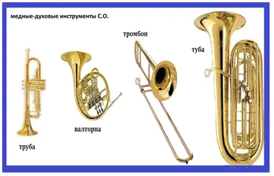 Инструменты симфонического оркестра