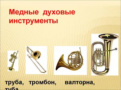 Струнные инструменты симфонического оркестра - YouTube
