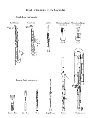 Урок по музыкальной литературе: Группа ударных инструментов симфонического  оркестра - YouTube
