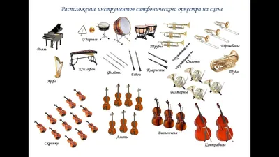 Деревянные духовые инструменты симфонического оркестра | Пикабу