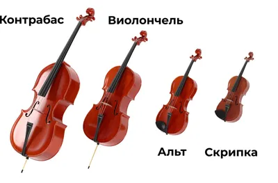 Презентация на тему: \"Инструменты симфонического оркестра.  Струнно-смычковые инструменты Струнная группа инструментов – скрипка, альт,  виолончель и контрабас. Эти инструменты.\". Скачать бесплатно и без  регистрации.