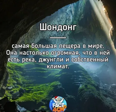 Есть ли жизнь на марсе: универсальное условие для существования жизни на  любой планете | Быль как небылица: интересные страницы истории | Дзен