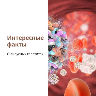 Интересные факты о теле человека. Издательский Дом Проф-Пресс - «Ответы на  сотни «почему» в нашем организме? ⭐️ Интересные факты, доступное изложение,  хорошее содержание👍» | отзывы