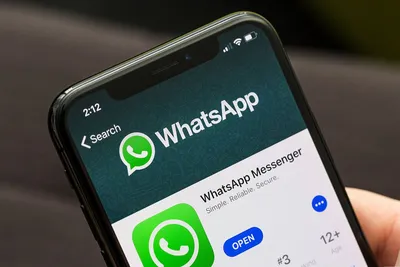 WhatsApp - интересная функция, о которой не все знали | Пикабу