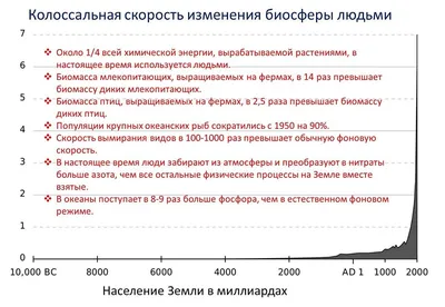 Занимательная физика — купить в интернет-магазине по низкой цене на Яндекс  Маркете