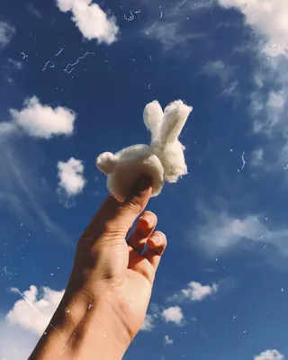 Идеи для Инстаграма фото необычные интересные идеи для фото креатив небо  кролик облака Instagram ide… | Идеи для фото, Фотография для начинающих,  Осенние фотографии
