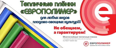 25 лучших интернет магазинов одежды в России и мире 2024: рейтинг топ  зарубежных и российских интернет магазинов женской, мужской, спортивной,  детской, одежды больших размеров с доставкой по России