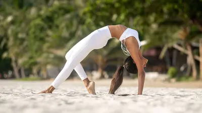 Йога для начинающих в Санкт-Петербурге | Yoga Shala
