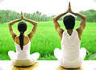 молодая пара обретает покой с помощью йоги и медитации Фото Фон И картинка  для бесплатной загрузки - Pngtree