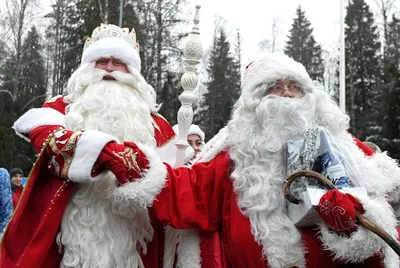 Дед Мороз, Санта-Клаус и Йоулупукки: откуда они появились - 7Дней.ру