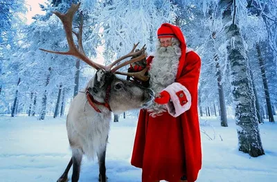Санта-Клаус или Йоулупукки из Лапландии - FINNISH.RU