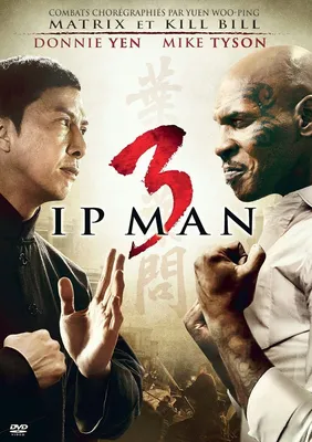 IP MAN Movie Poster Martial Arts Kung Fu Donnie Yen | eBay