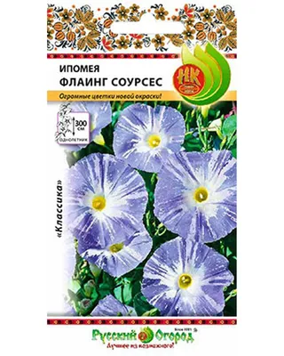 Купить ипомея батат ipomoea batatas white по цене 6 Br в интернет-магазине  Юнифлор